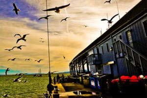 云计算平台的在线网站攻击