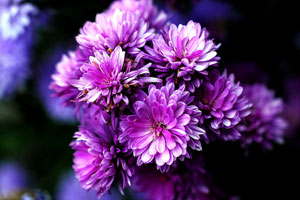 找个批发价的在线DDOS平台攻击